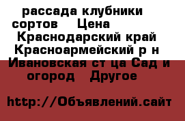 рассада клубники 20 сортов  › Цена ­ 101 520 - Краснодарский край, Красноармейский р-н, Ивановская ст-ца Сад и огород » Другое   